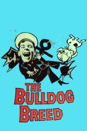 The Bulldog Breed filmas