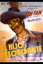 The Naughty Son filmas