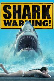 Shark Warning filmas