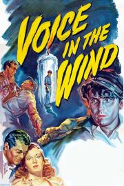Voice in the Wind filmas