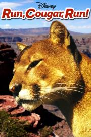 Run, Cougar, Run filmas
