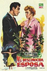 Mi desconocida esposa filmas