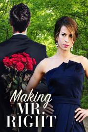 Making Mr. Right filmas