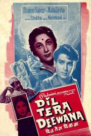 Dil Tera Diwana filmas