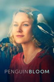 Pingvinas Blumas filmas