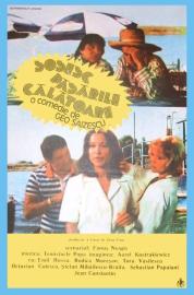 The Migrant Birds Are Coming filmas