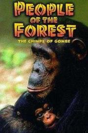 People of the Forest: The Chimps of Gombe filmas