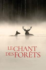 Le Chant des forêts filmas