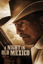 A Night in Old Mexico filmas