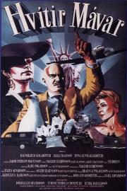 Cool Jazz and Coconuts filmas