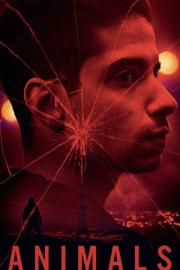 Animals filmas