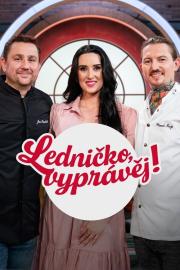 Ledničko, vyprávěj! filmas