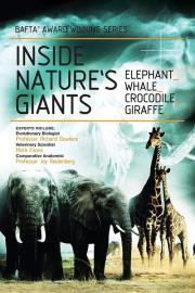 Inside Nature's Giants filmas