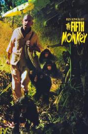 The Fifth Monkey filmas