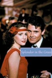 Splendor in the Grass filmas
