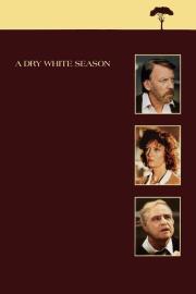 A Dry White Season filmas