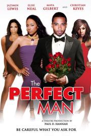 The Perfect Man filmas