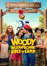 Woody Woodpecker Goes to Camp filmas