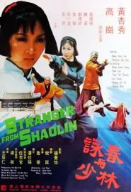 Stranger from Shaolin filmas