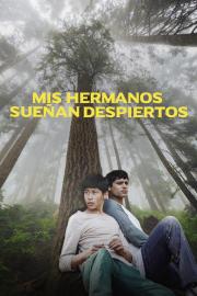 Mis hermanos sueñan despiertos filmas