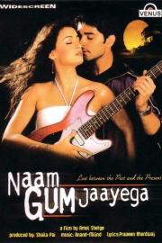 Naam Gum Jaayega filmas