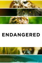 Endangered filmas