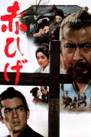 Raudonbarzdis filmas