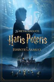 Haris Poteris ir Išminties akmuo filmas