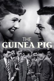 The Guinea Pig filmas