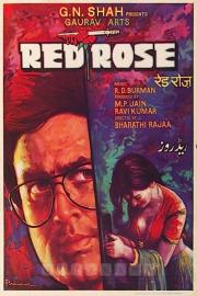 Red Rose filmas