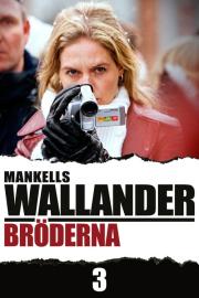Bröderna filmas