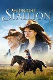 Midnight Stallion filmas