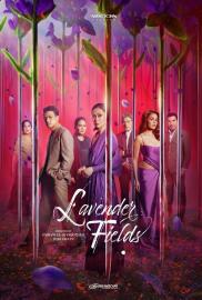 Lavender Fields filmas