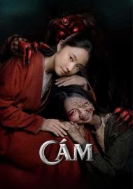 Cám filmas