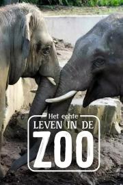 Het Echte Leven in de ZOO filmas