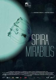 Miraculous Spiral filmas