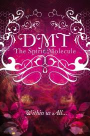 DMT: The Spirit Molecule filmas