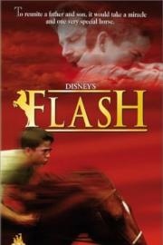 Flash filmas