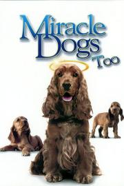 Miracle Dogs Too filmas