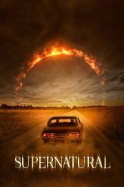 Išrinktieji filmas