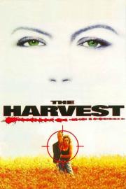 The Harvest filmas
