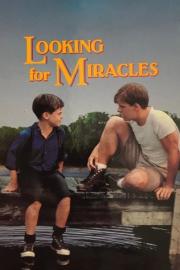 Looking for Miracles filmas