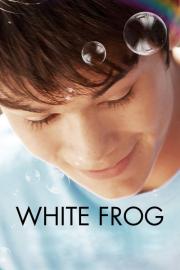 White Frog filmas