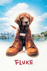 Flukas filmas