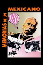 Memories of a Mexican filmas