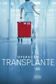 Operação Transplante filmas