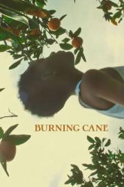 Burning Cane filmas