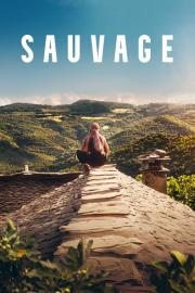 Sauvage filmas