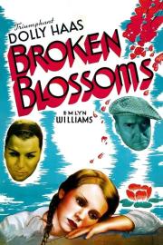 Broken Blossoms filmas