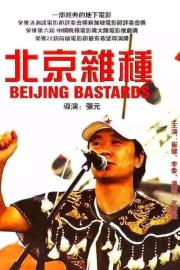 Beijing Bastards filmas